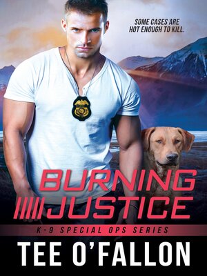 Burning Justice - ebook